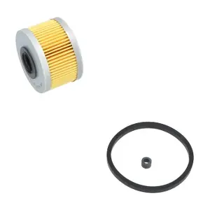 AMC Filter SF9970