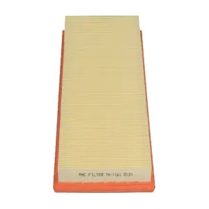 TA-1161 AMC Filter