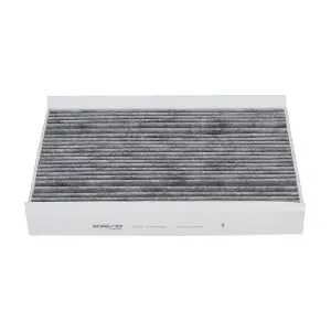 FCA-10022C AMC Filter