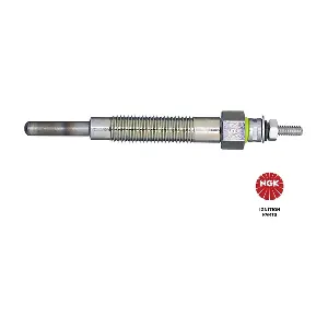 NGK 2161
