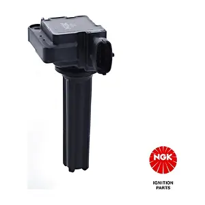 NGK 49066