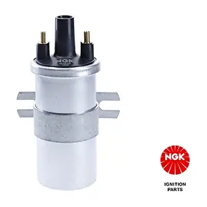 NGK 48307