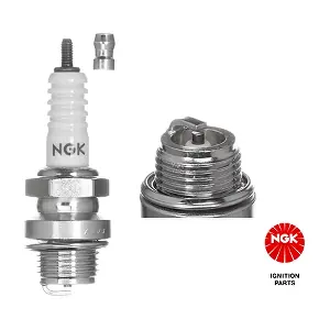 2910 NGK