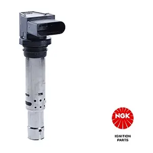 NGK 48003