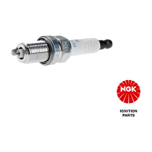 NGK 4896