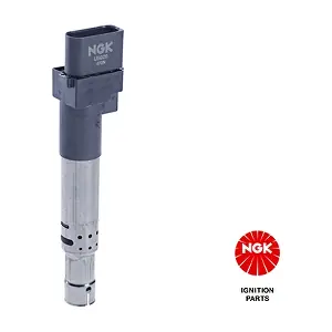 NGK 48065
