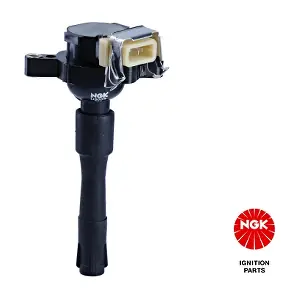NGK 48009