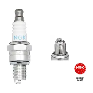 NGK 3365