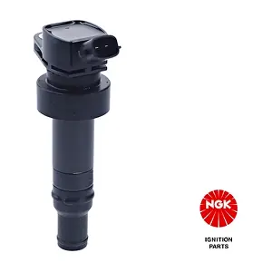 NGK 49055