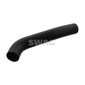 10100353 SWAG