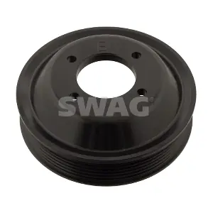 20 93 0125 SWAG