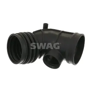 20 10 0394 SWAG