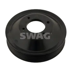20 93 0124 SWAG