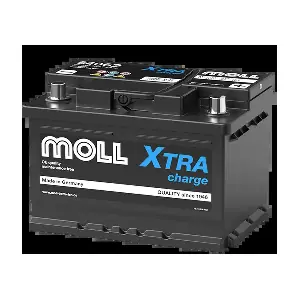 84062 MOLL