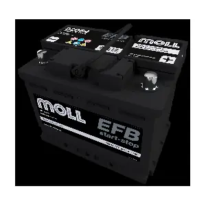 82064 MOLL