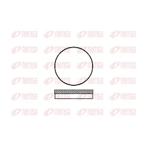REMSA 0070.00