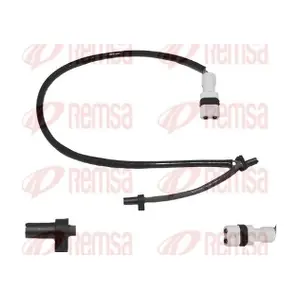 001091 REMSA
