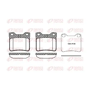 REMSA 032110