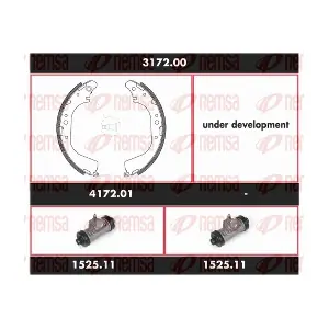 317200 REMSA