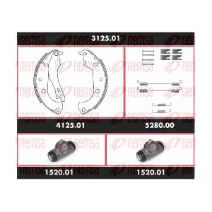 REMSA 312501