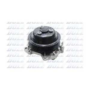 P509 DOLZ
