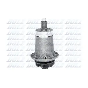 DOLZ M186