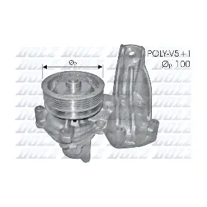 DOLZ S174