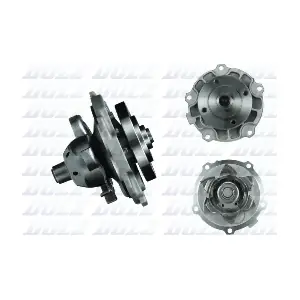 C608 DOLZ