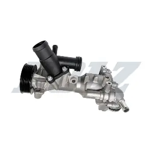 M379 DOLZ