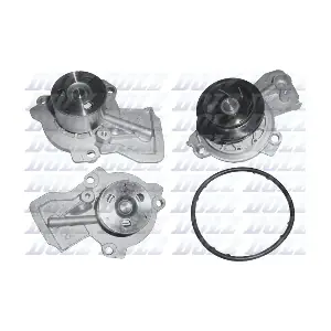 A254 DOLZ