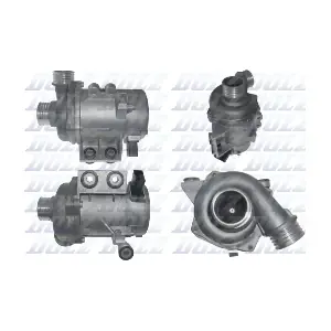 B245 DOLZ