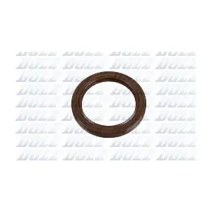 DOLZ 02KCS018