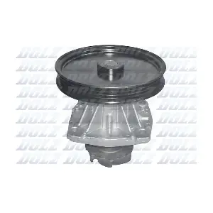 DOLZ S146ST