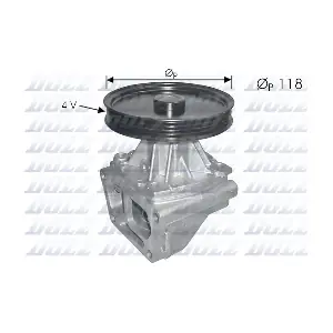 DOLZ S146