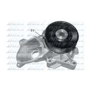 B221 DOLZ