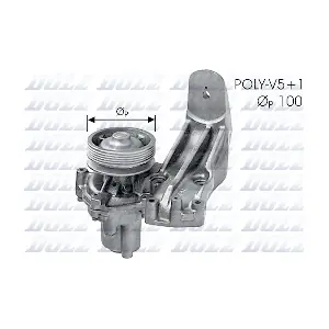 L140 DOLZ