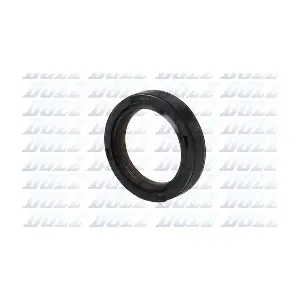 02KCS011 DOLZ