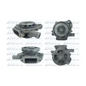 DOLZ M679