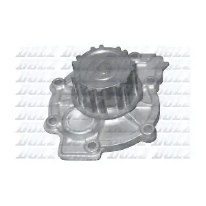 R302 DOLZ