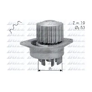 DOLZ C113