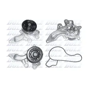 DOLZ T264