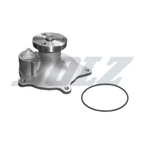 C142 DOLZ