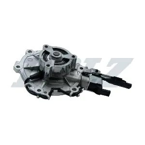 L253V DOLZ
