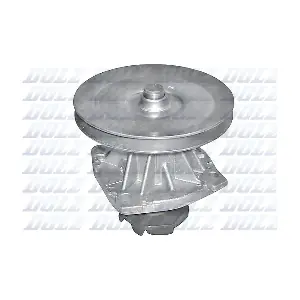 DOLZ S124ST