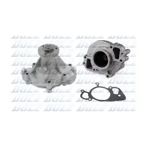 L118 DOLZ