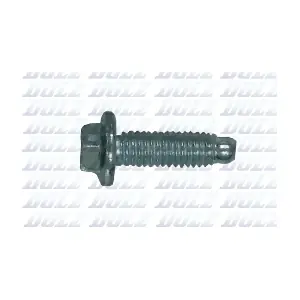 02KCP008 DOLZ