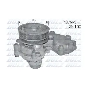 DOLZ S272