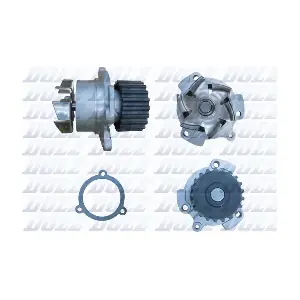 DOLZ L142