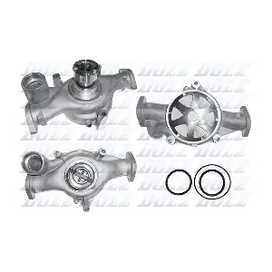 V502 DOLZ