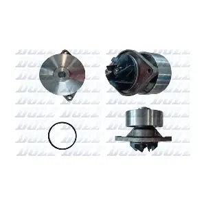 DOLZ L256